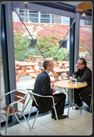 Pictures of Head Office employees