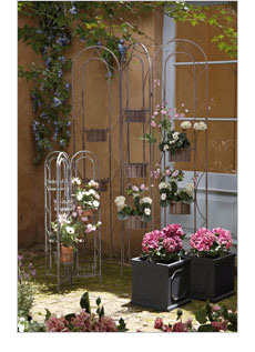 Garden & Outdoor
