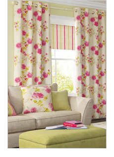 Curtains/Blinds/Poles
