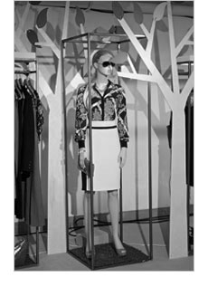 Spring Summer Trends 