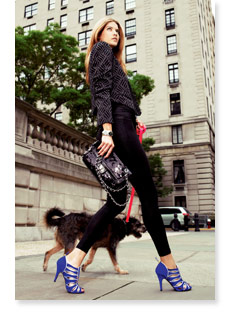 Shoe Brochure