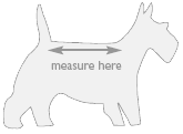 dog measurement guide