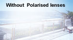 Without Polarised lenses