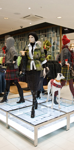 Westfield store images